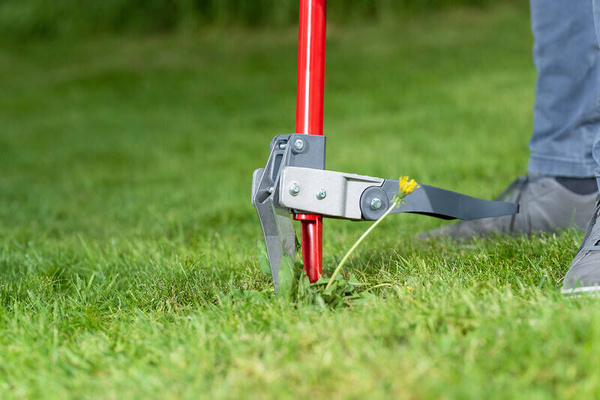 Wyrywacz do chwastów Wolf-Garten iW-A 73AAA001650