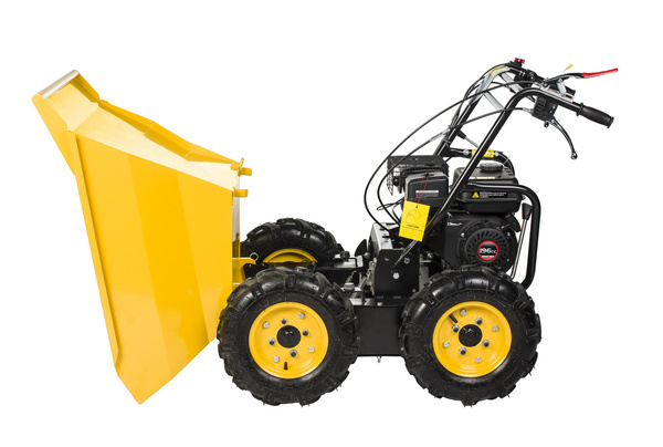 Transporter spalinowy Cedrus TR300