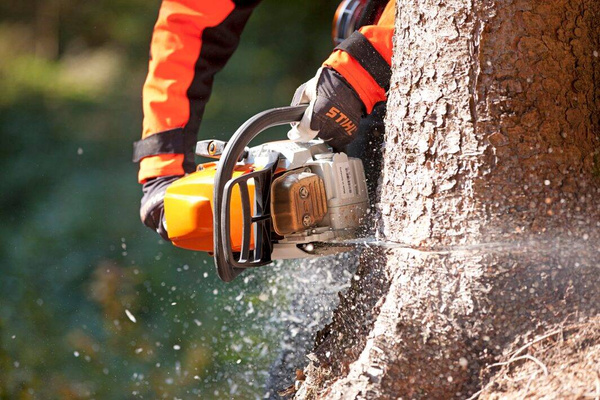 Pilarka spalinowa Stihl MS 362 40 cm; 3/8”; RS; 1,6 L04
