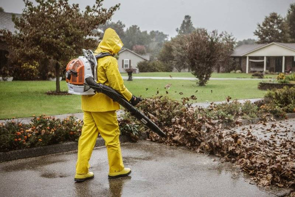 Dmuchawa spalinowa BR 700 STIHL 42820111621