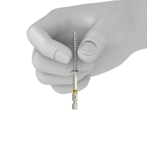 Zestaw bitów Wiha Bit-Check 6 Wood TX HF 1 SB, 6 el.