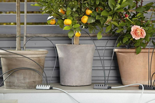 Automatyczna konewka Gardena do nawadniania