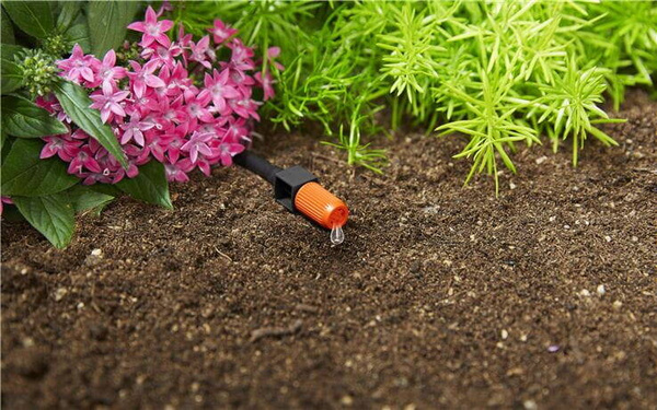 Zestaw Gardena Micro-Drip-System 13000-20 podstawowy S do roślin doniczkowych