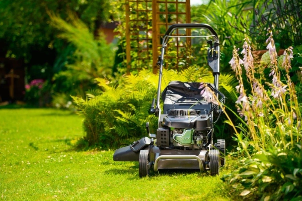 Kosiarka spalinowa Weibang WB537SC V 3w1