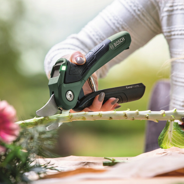 Sekator Bosch EasyPrune
