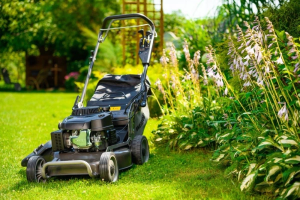 Kosiarka spalinowa Weibang WB537SC V 3w1