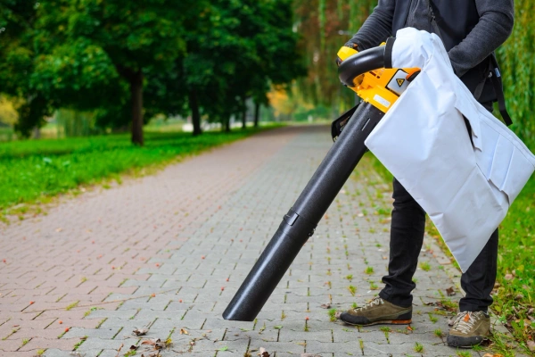 Odkurzacz do liści Cedrus DM03 2W1 CEDDM03 2IN1