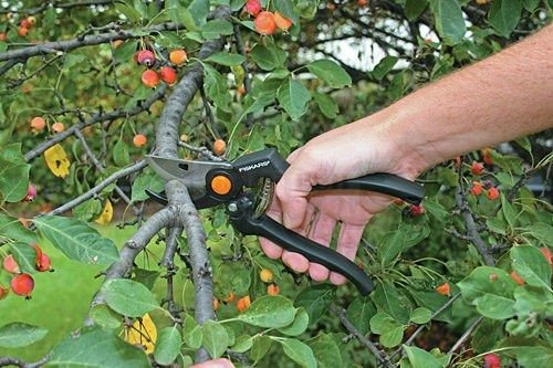 Sekator ogrodowy Fiskars P90