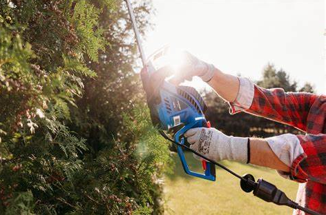 Nożyce do żywopłotu Blaupunkt HT6010