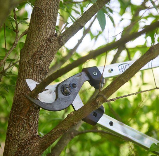 Sekator FELCO 211-60 60 cm