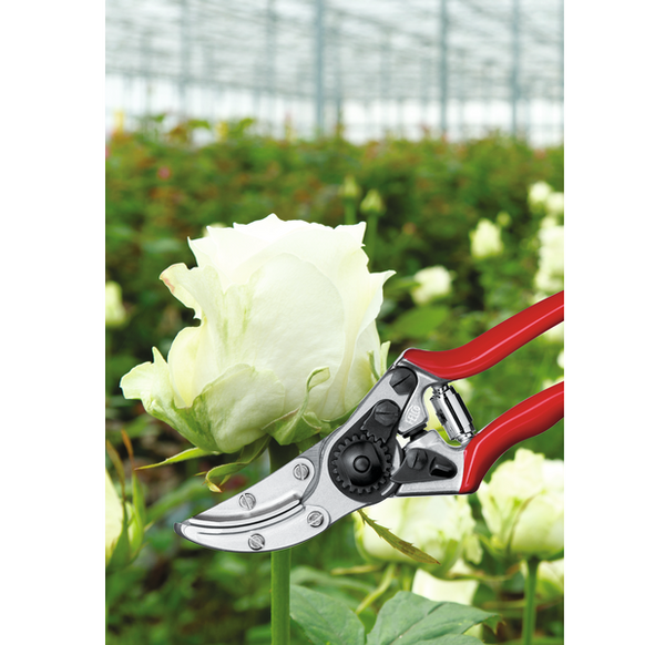 Sekator FELCO 100 do zbierania kwiatów