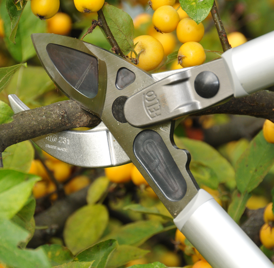 Sekator FELCO 231 80 cm z kowadłem zakrzywionym