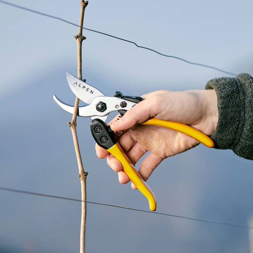 Sekator Alpen Gelbhorn 150