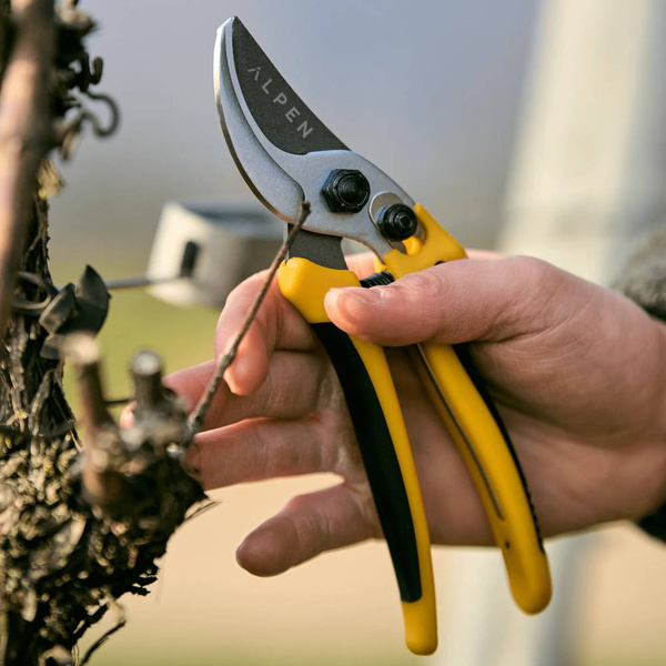 Sekator Alpen Gelbhorn 140