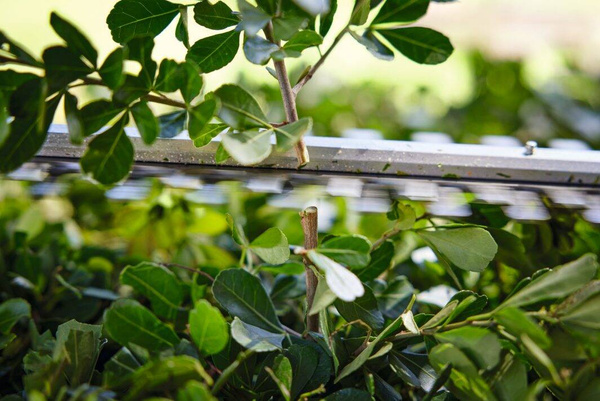 Nożyce do żywopłotów Stihl HSA 40 HA080113521