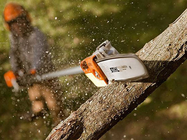 Podkrzesywarka Stihl HTE 60 do prac sadowniczych