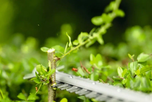 Nożyce do żywopłotu Bosch GHE18V-50FP 06008D5100