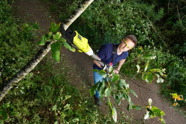 Sekator na wysięgniku Ryobi RY18PLA-0