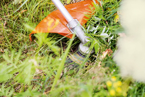 Kosa spalinowa Stihl FS 240 41472000477