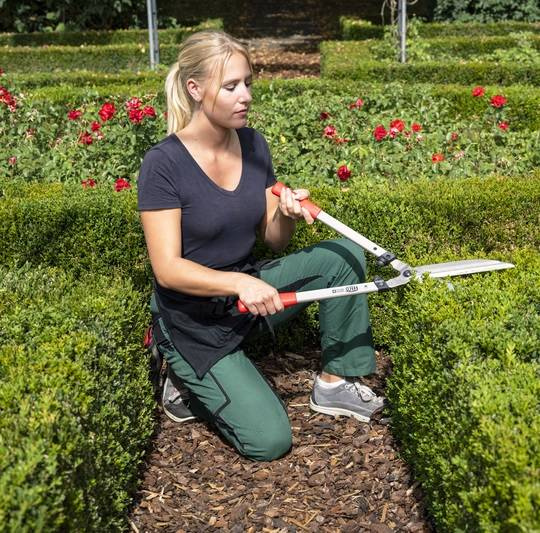 Nożyce do żywopłotu FELCO 250-63