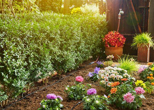 Linia kroplujaca do rzędów roślin - zestaw S Micro-Drip-System GARDENA 13010-20