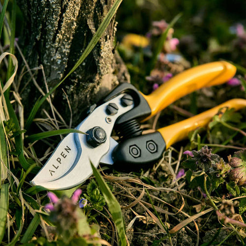 Sekator Alpen Gelbhorn 150