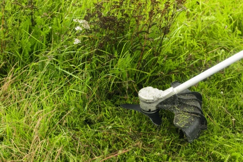 Ostrze do wykaszarek 25 cm, 3T Bosch F016800664