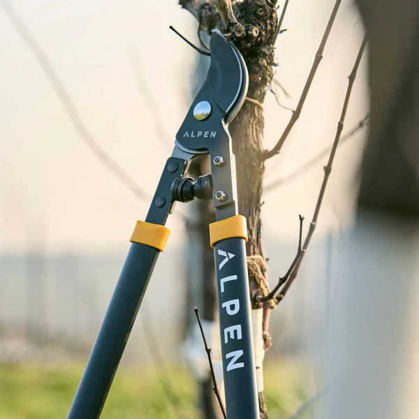 Sekator Alpen Weisshorn 260