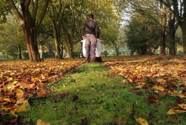  Odkurzacz samobieżny do liści Weibang LV506C (WBLV506C)