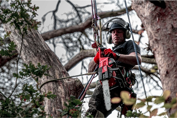 Pilarka łańcuchowa akumulatorowa Milwaukee M18 FCHS-0