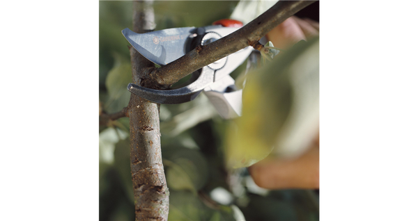 Sekator ogrodowy Alu B+/L Gardena 08702-20