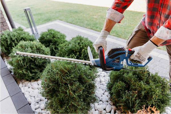 Nożyce do żywopłotu Blaupunkt HT6010