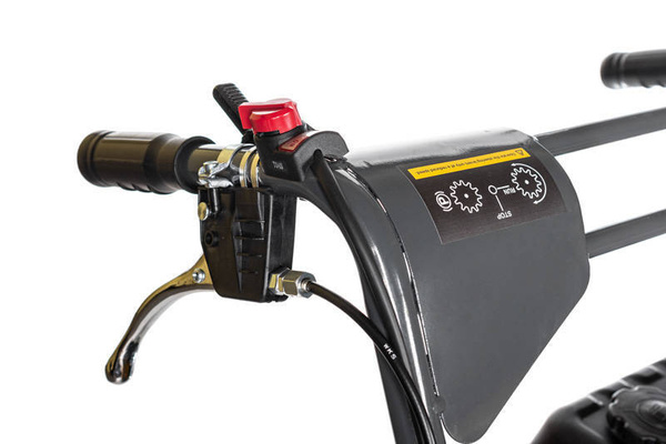 Transporter spalinowy gąsienicowy Cedrus TR300G CEDTR300G