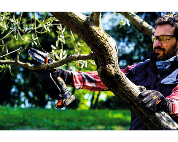 Pilarka akumulatorowa do gałęzi Worx WG324E.9