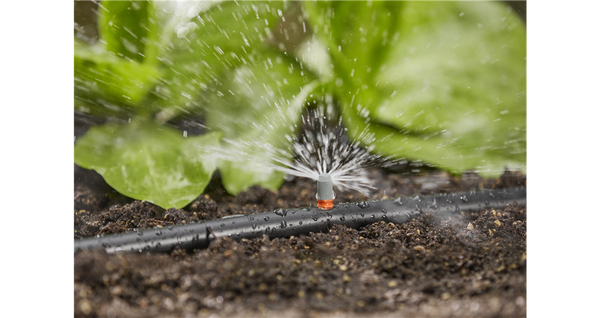 Gardena Micro-Drip-System - zestaw podstawowy na grządki i rabaty Gardena 13015-20