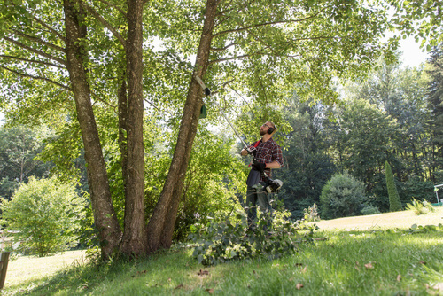 Urządzenie wielofunkcyjne spalinowe AL-KO BC 260 MT 113787