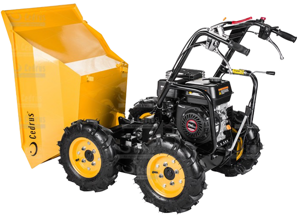 Transporter spalinowy Cedrus TR300