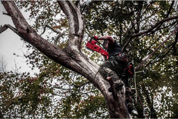 Pilarka łańcuchowa akumulatorowa Milwaukee M18 FCHS-122