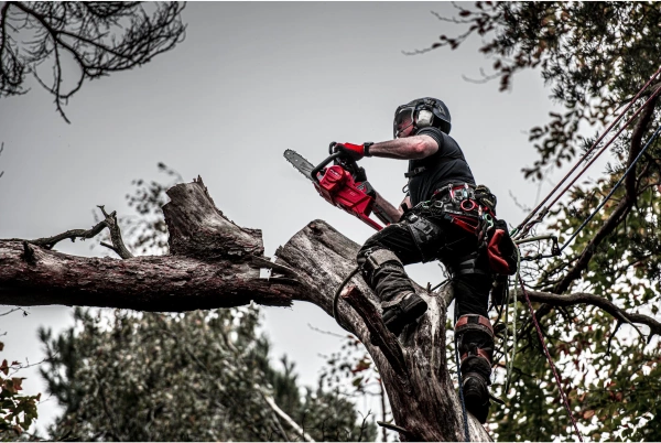 Pilarka łańcuchowa akumulatorowa Milwaukee M18 FCHS-122