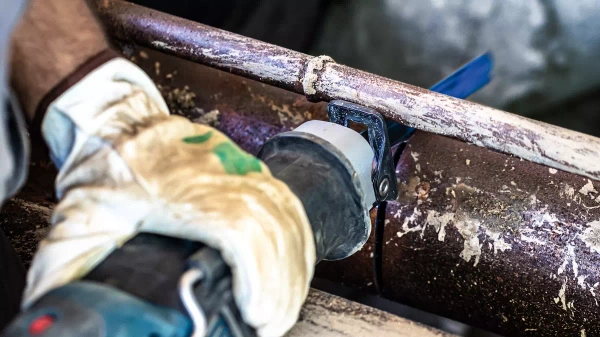 Brzeszczot Bosch Expert S555CHC