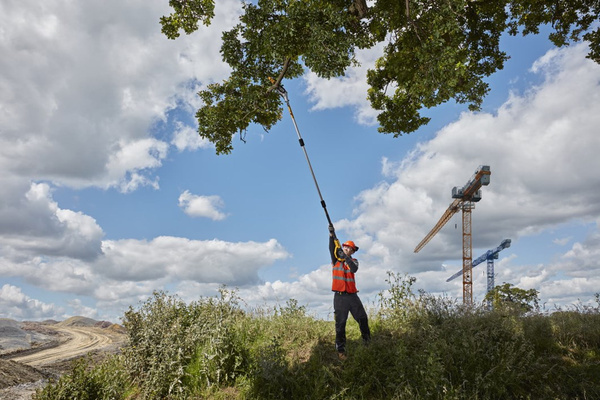 Podkrzesywarka DeWALT DCMPS567P1