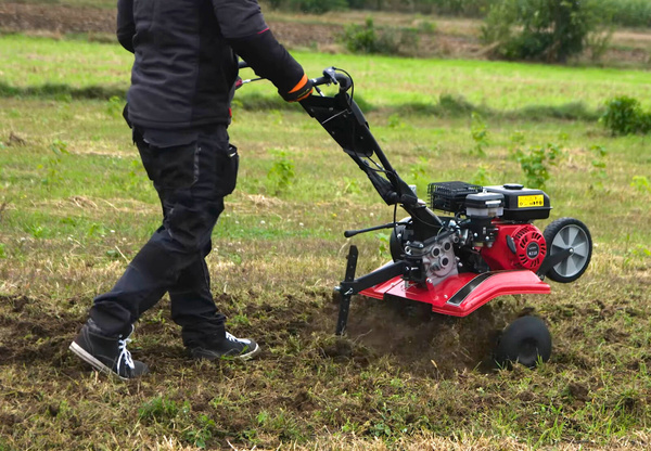 Glebogryzarka spalinowa Cedrus GL05
