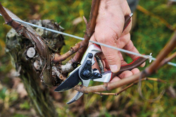 Sekator ręczny FELCO 8 Elite