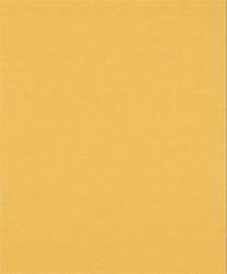 Arkusz ścierny Bosch EXPERT C470 230 mm x 280 mm, G 120 2608900961