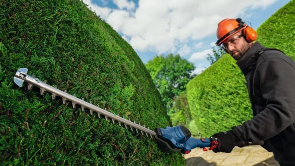 Nożyce do żywopłotu Bosch GHE 18V-50 TP 06008D5000