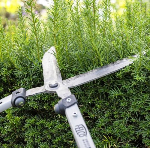 Nożyce do żywopłotu FELCO 250-63