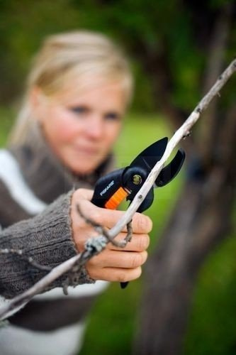 Sekator kowadełkowy Fiskars P25