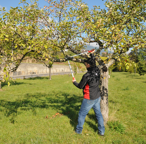 Sekator FELCO 231 80 cm z kowadłem zakrzywionym