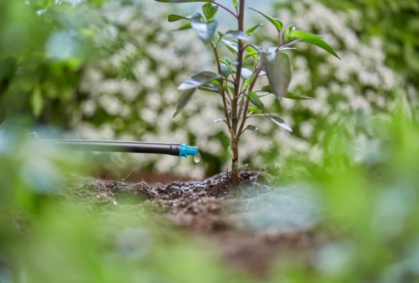 Zestaw 25 szt. kroplowników końcowych 2 l/h Gardena Micro-Drip-System 13307-20