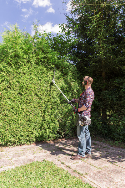 Urządzenie wielofunkcyjne spalinowe AL-KO BC 260 MT 113787